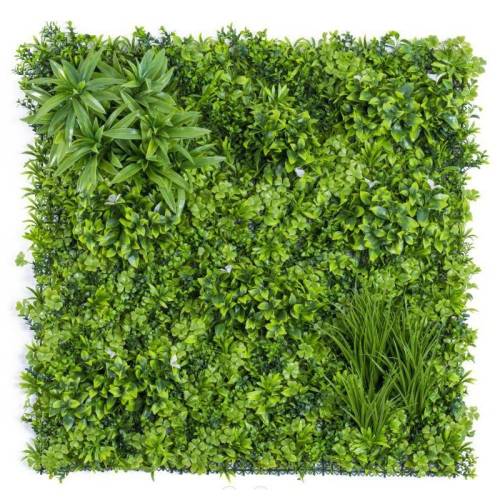 Green Wall Siepe